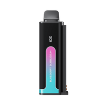 Combo: Life Pod ECO III 20K Batería + Recarga | Blueberry (Arándano) + Batería Negro