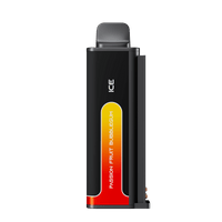 Combo: Life Pod ECO III 20K Batería + Recarga | Passion Fruit (Maracuyá) + Batería Negro